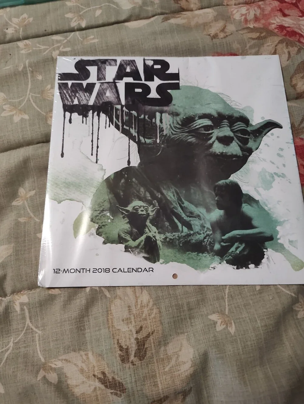 Star Wars Wall Calendar – Yoda Artwork in Green and Black 2018
